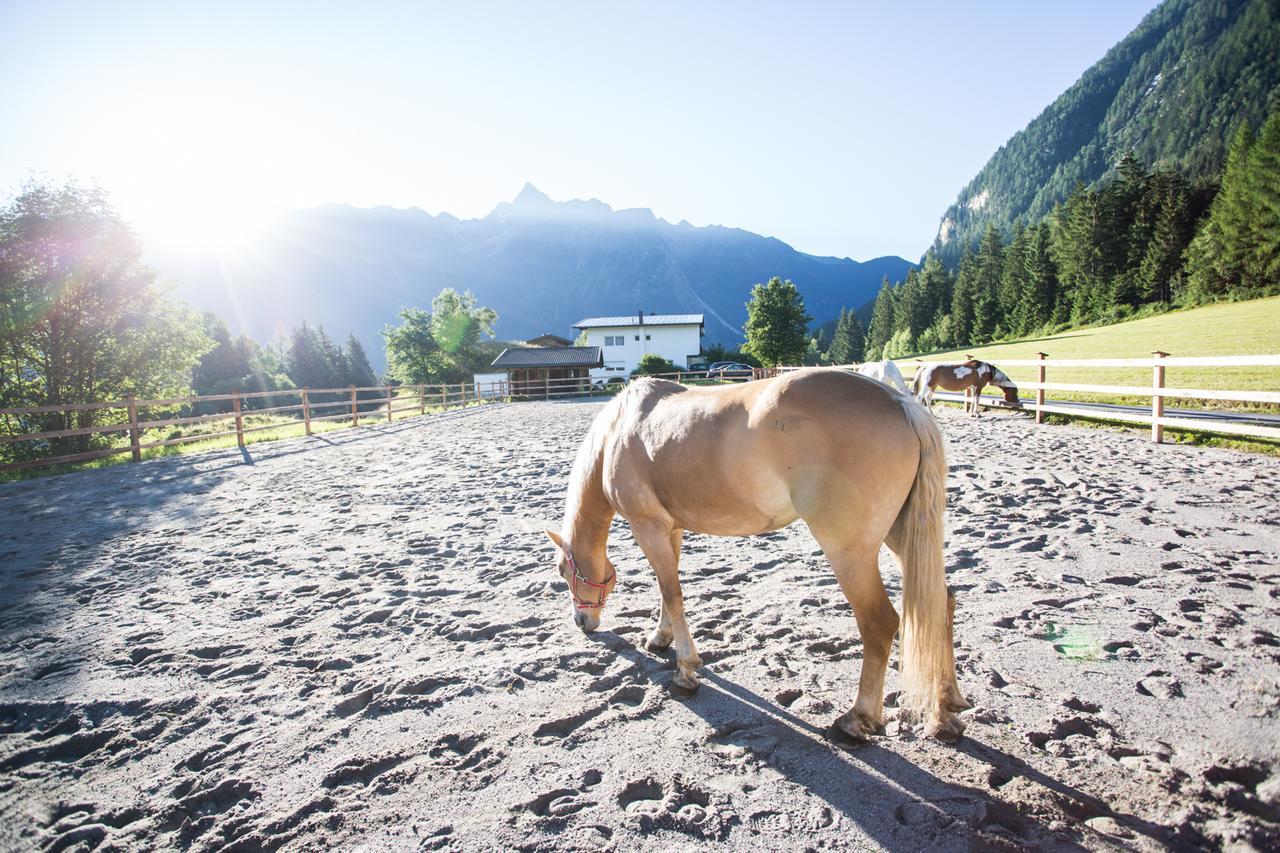 Ferienhaus Oetztal Sautens Exteriör bild